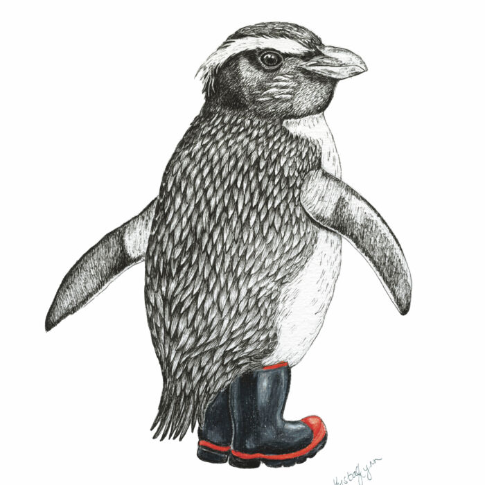 Penguin's Gumboots Thumbnail