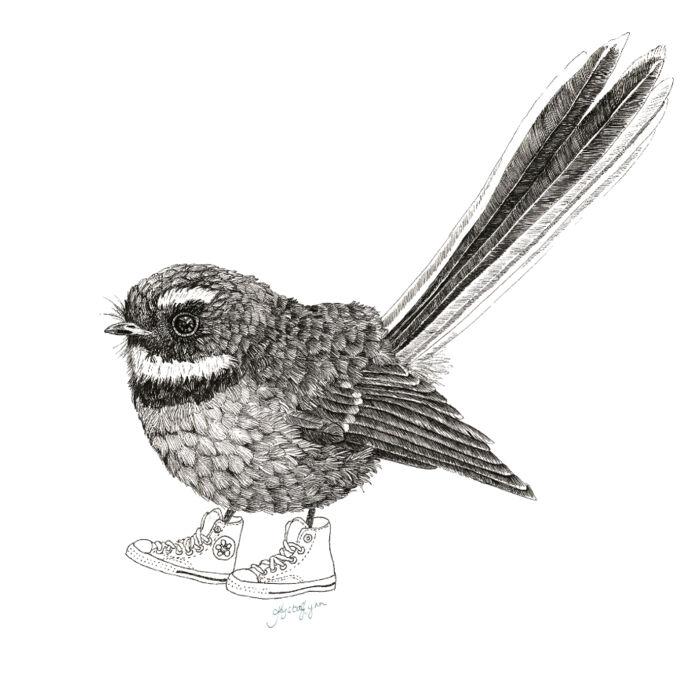 Piwakawaka's Chucks Thumbnail